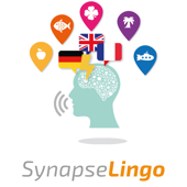 SynapseLingo Learn Hebrew